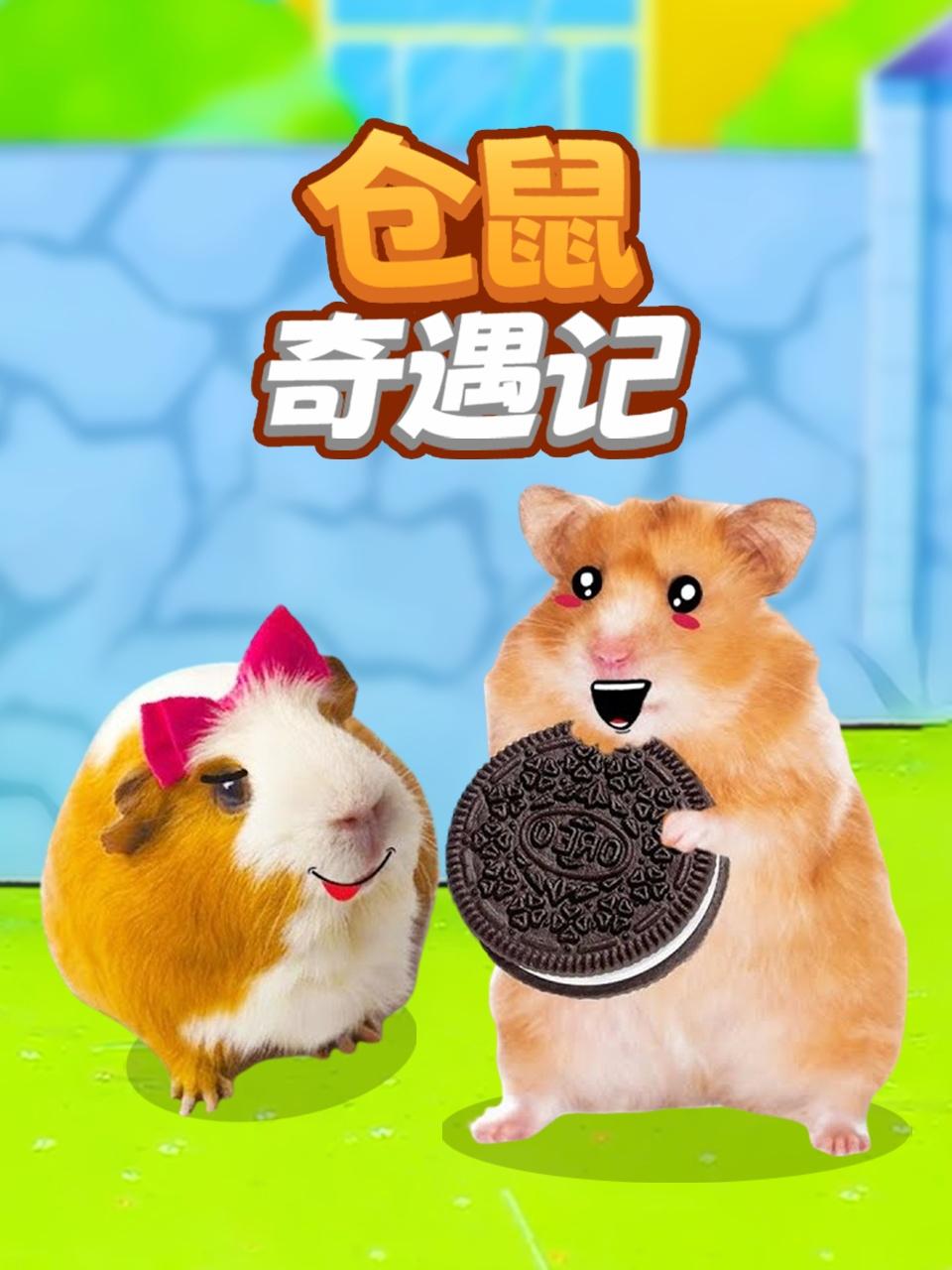 仓鼠奇遇记