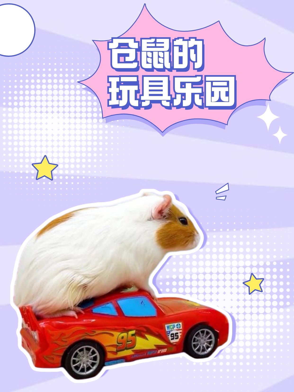 仓鼠的玩具乐园