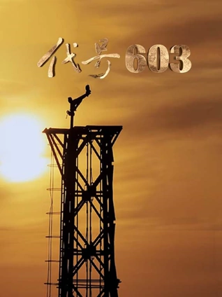 代号603